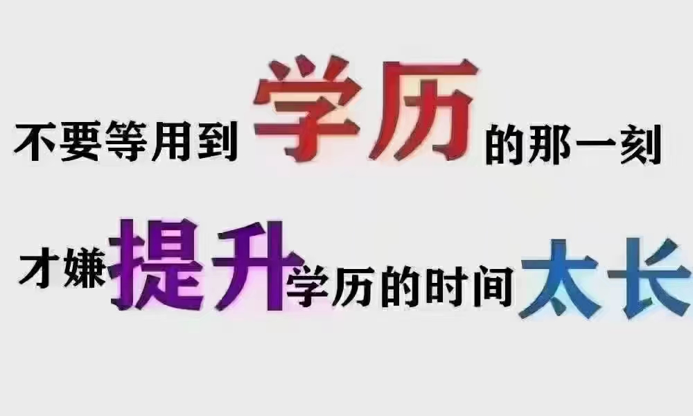 1000×600